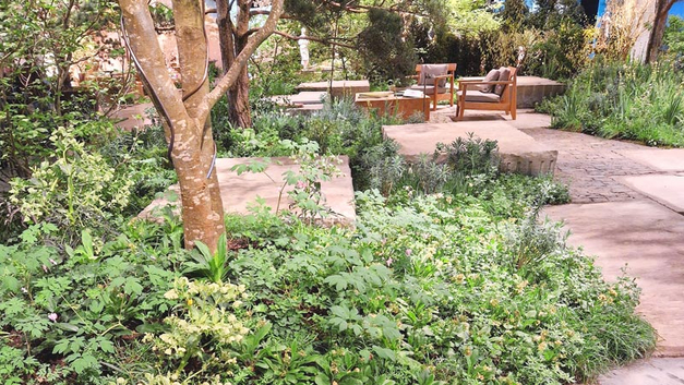 BILD FELIX KÄPPELI